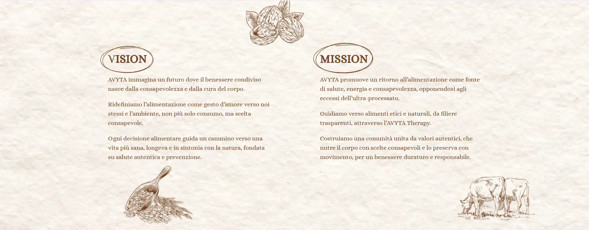 Vision e mission AVYTA
